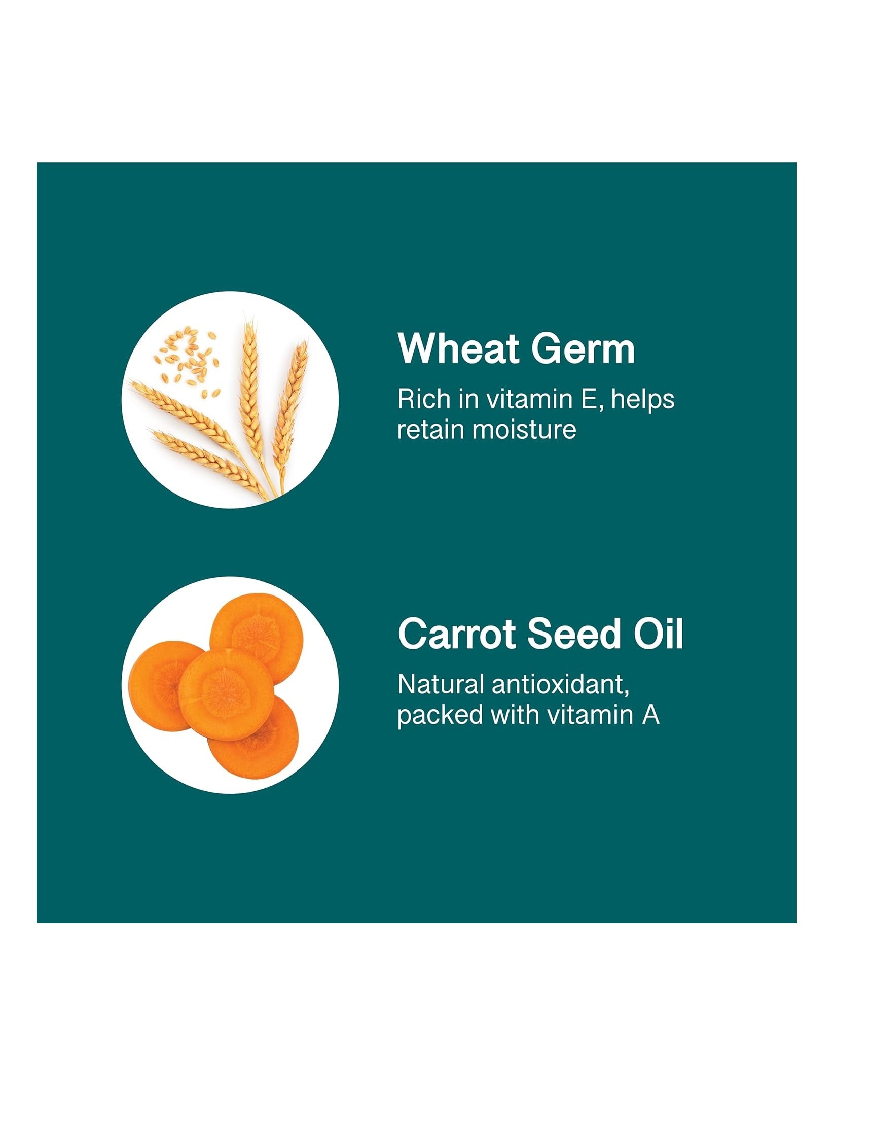 Himalaya Herbals Lip Balm (10g)