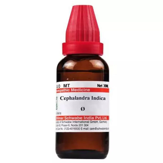 Dr Willmar Schwabe India Cephalandra Indica Mother Tincture (Q) (30ml) for blood sugar levels skin disorders diabetes