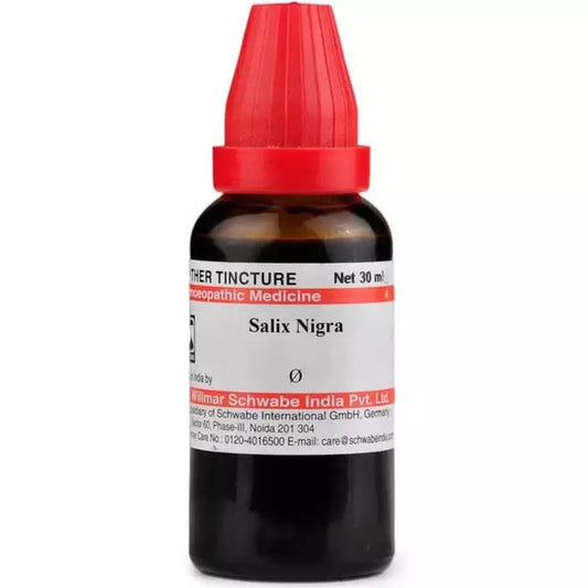 Dr Willmar Schwabe India Salix Nigra Mother Tincture (Q) (30ml) for hair fall bleeding gums