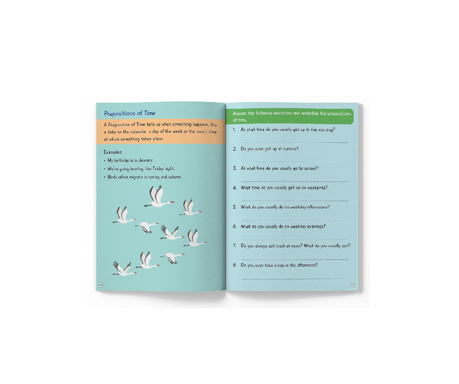 A Wonderland Of Words: English Grammar - Level 2 Activity Workbook Paperback Book