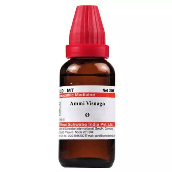 Dr Willmar Schwabe India Ammi Visnaga Mother Tincture 1X(Q) 30ml for kidney stones asthma