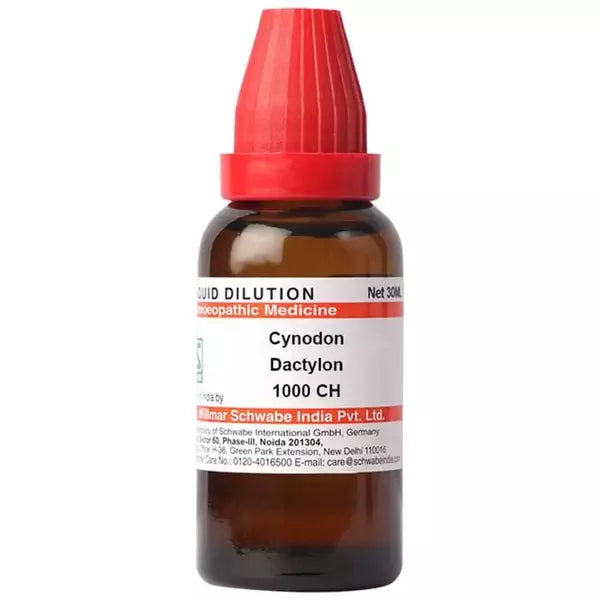 Dr Willmar Schwabe India Cynodon Dactylon Dilution