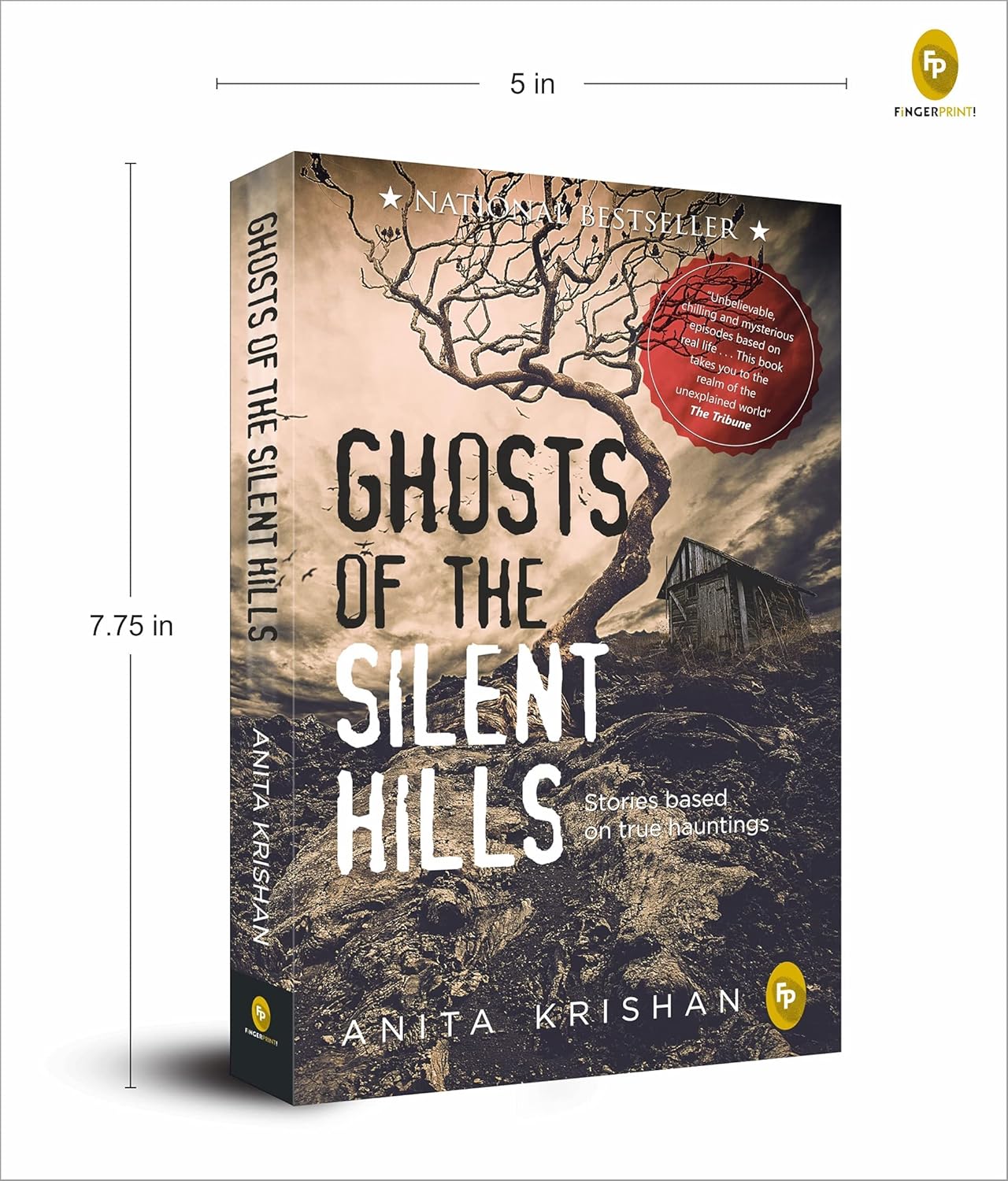 Ghosts of The Silent Hills Book (Paperback)