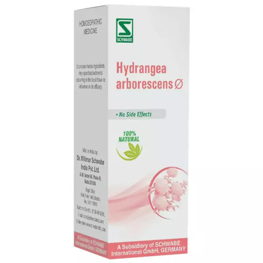 Dr Willmar Schwabe India Hydrangea Arborescens Mother Tincture 1X (Q) (30ml) for urinary disorders kidneys care