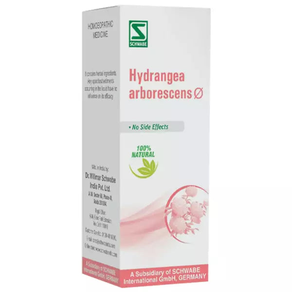 Dr Willmar Schwabe India Hydrangea Arborescens Mother Tincture 1X (Q) (30ml) for urinary disorders kidneys care