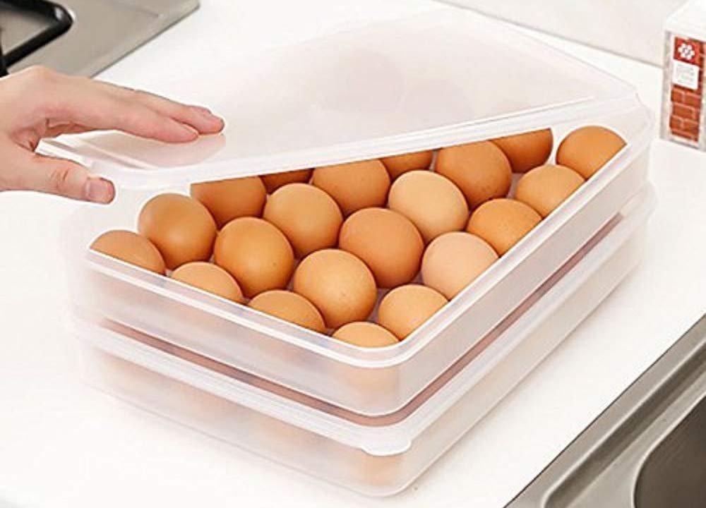 param Clear Large Capacity Portable Home Picnic Plastic Egg Box Case 24 Holder Storage Container Fridge, Egg Box for 24 Eggs, Set of 1 Pieces