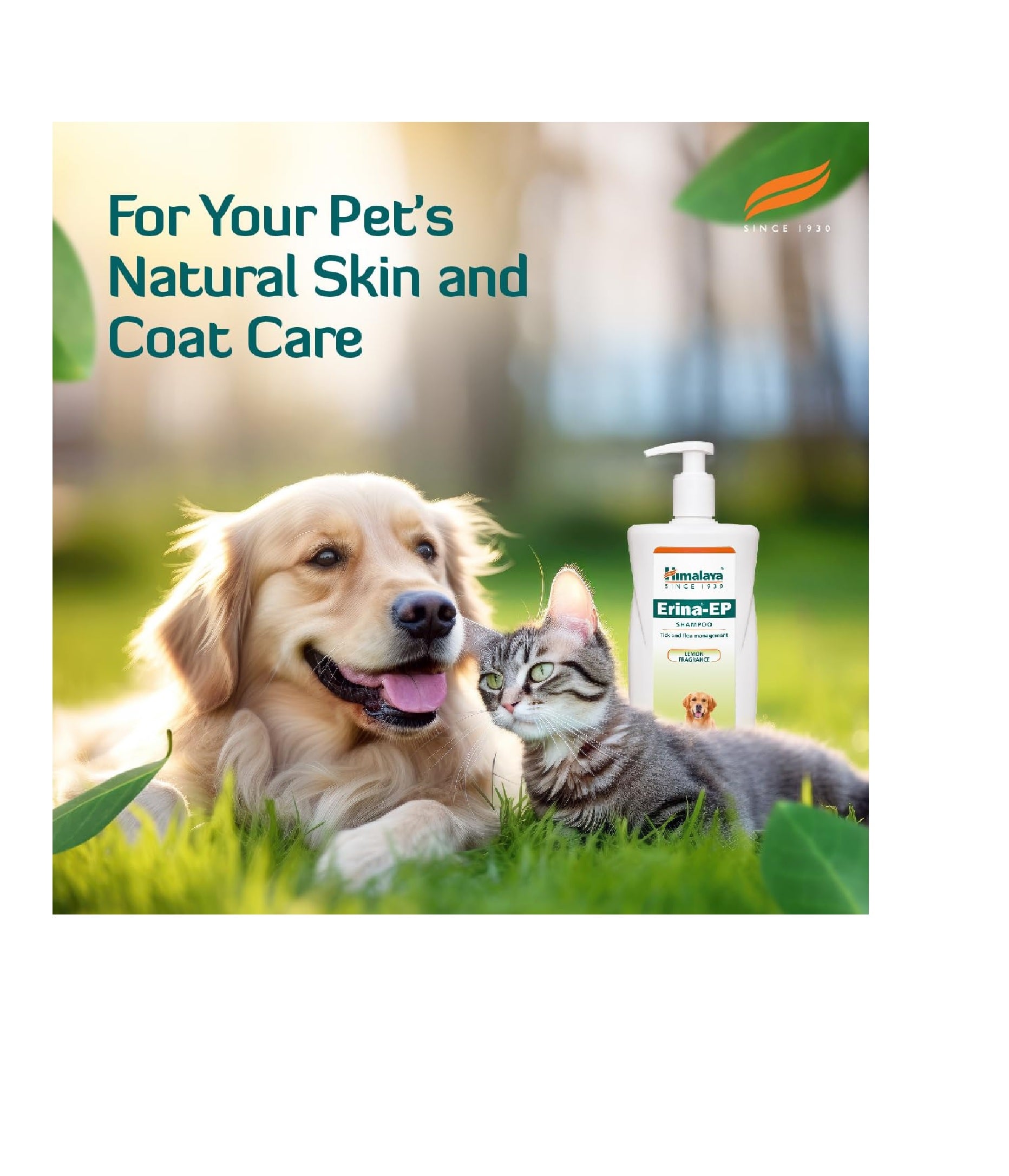Himalaya Erina-EP Tick and Flea Control Shampoo for Dogs & Cats (200ml) – Lemon Fragrance
