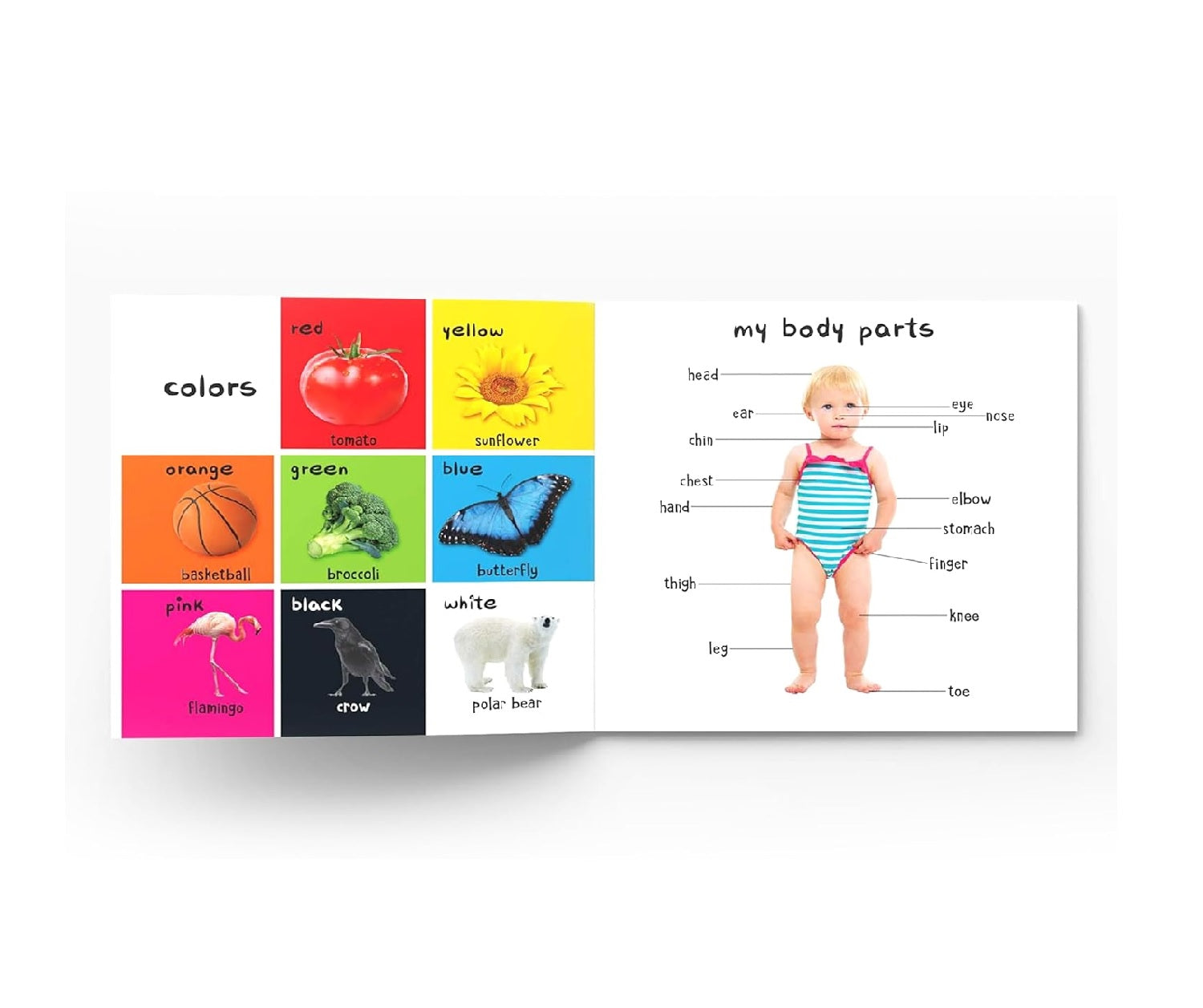My First 100 Words : Early Learning Books for Children Hardcover