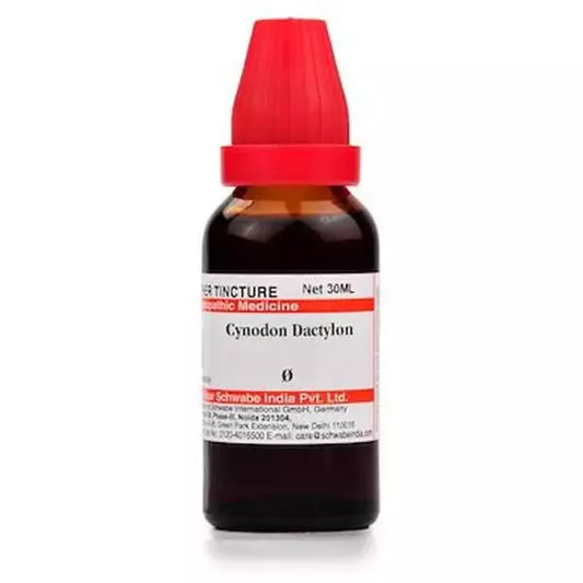 Dr Willmar Schwabe India Cynodon Dactylon Mother Tincture (Q) (30ml) for vomiting diarrhoea bleeding nose