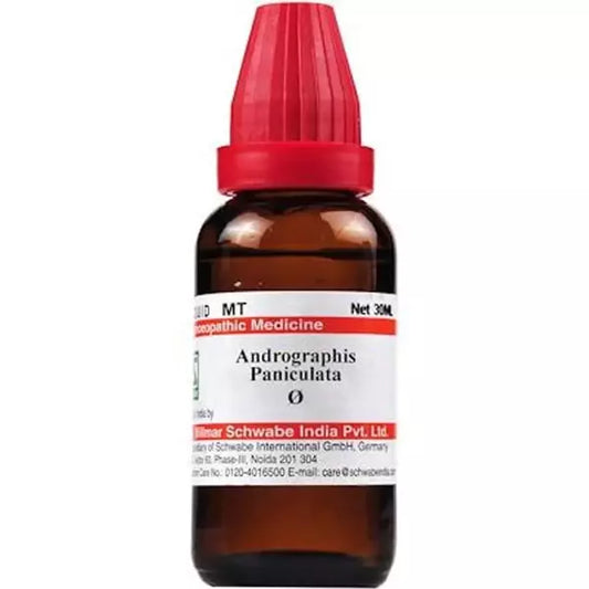 Dr Willmar Schwabe India Andrographis Paniculata (Kalmegh) Mother Tincture (Q) (30ml) jaundice boosting immunity system