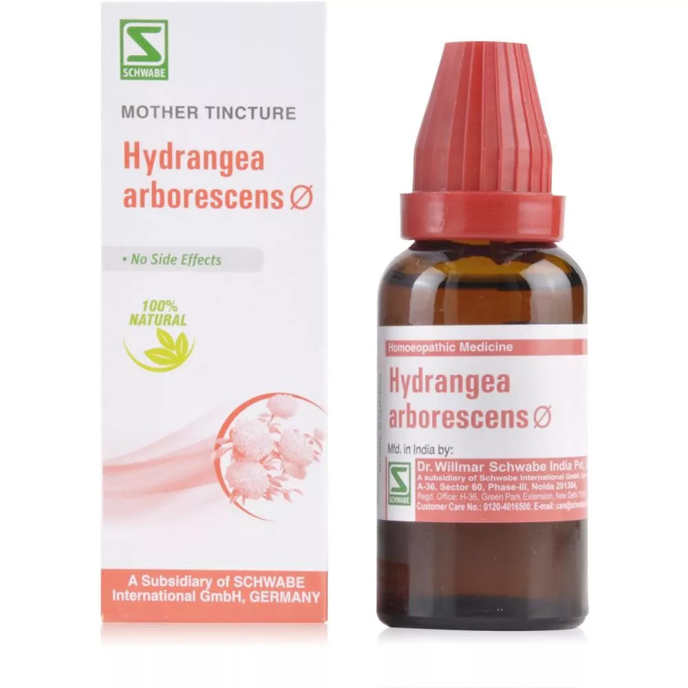 Dr Willmar Schwabe India Hydrangea Arborescens Mother Tincture 1X (Q) (30ml) for urinary disorders kidneys care