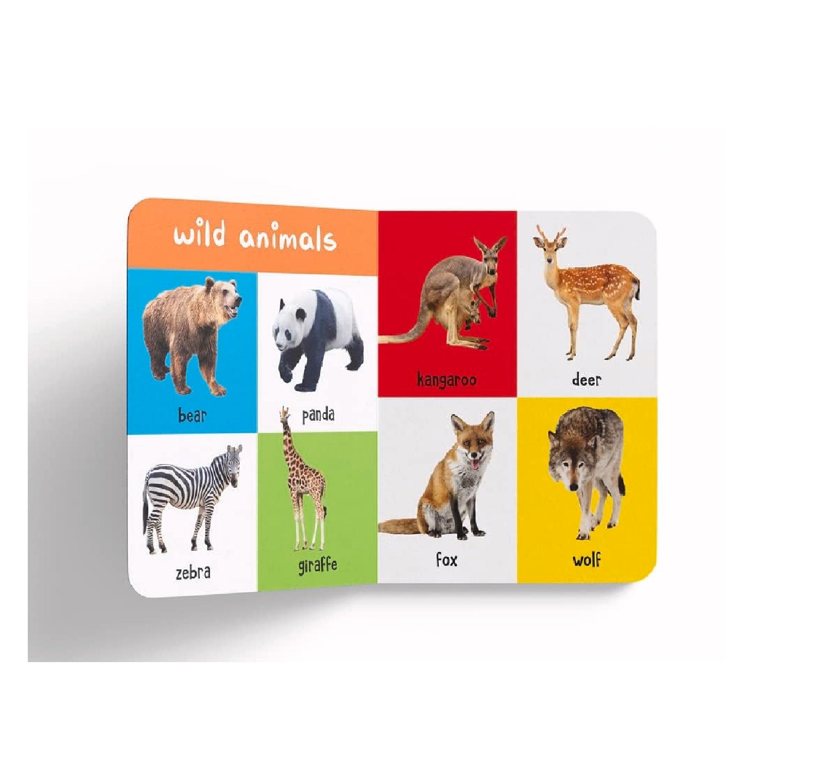 My First 100 Library: Boxset of 5 Early Learning Board Books for Kids | Board book - Coloring Book