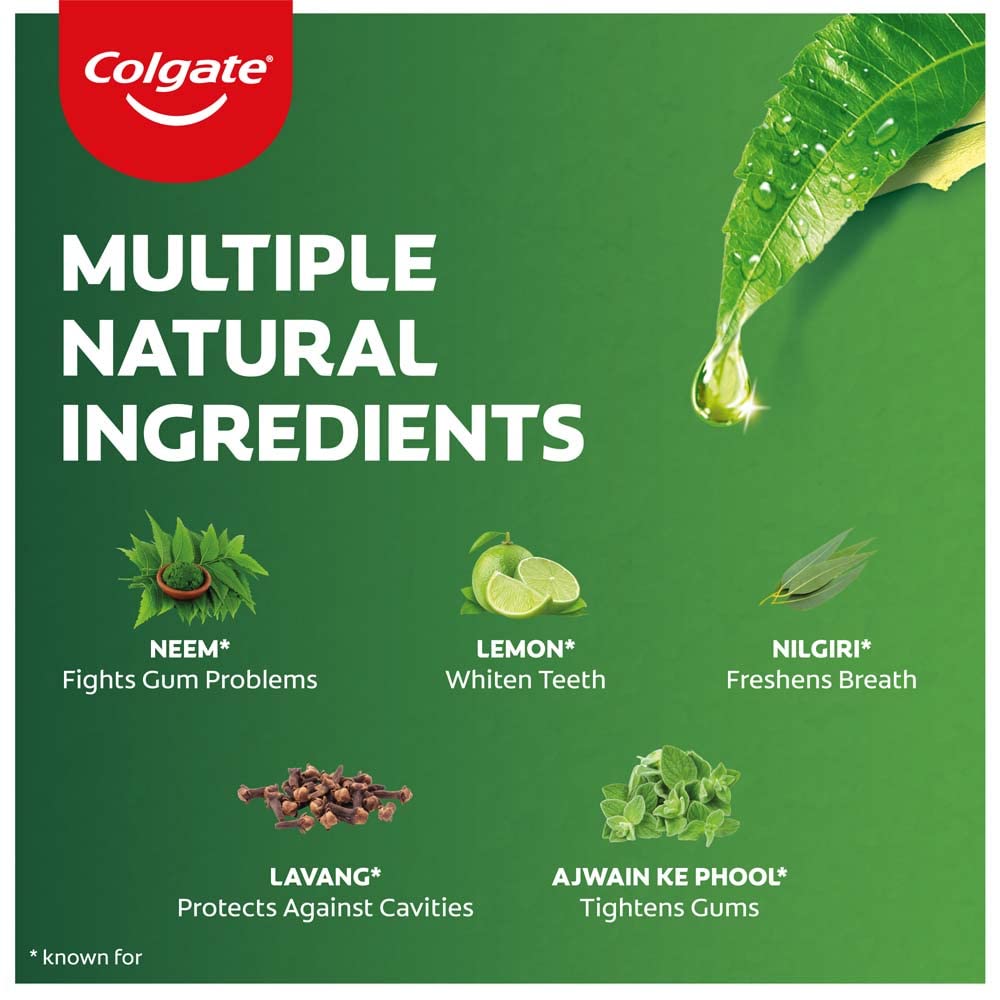 Colgate Active Salt Neem Toothpaste, Germ Fighting Toothpaste For Healthy, Tight Gums, Oral Care 100G
