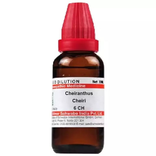 Dr Willmar Schwabe India Cheiranthus Cheiri Dilution