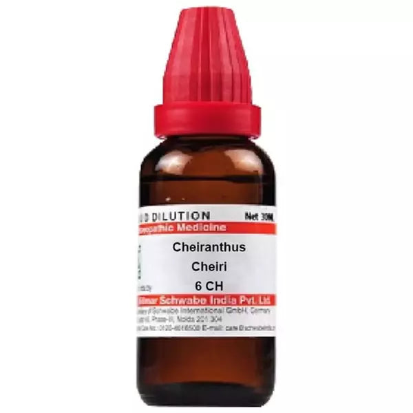 Dr Willmar Schwabe India Cheiranthus Cheiri Dilution