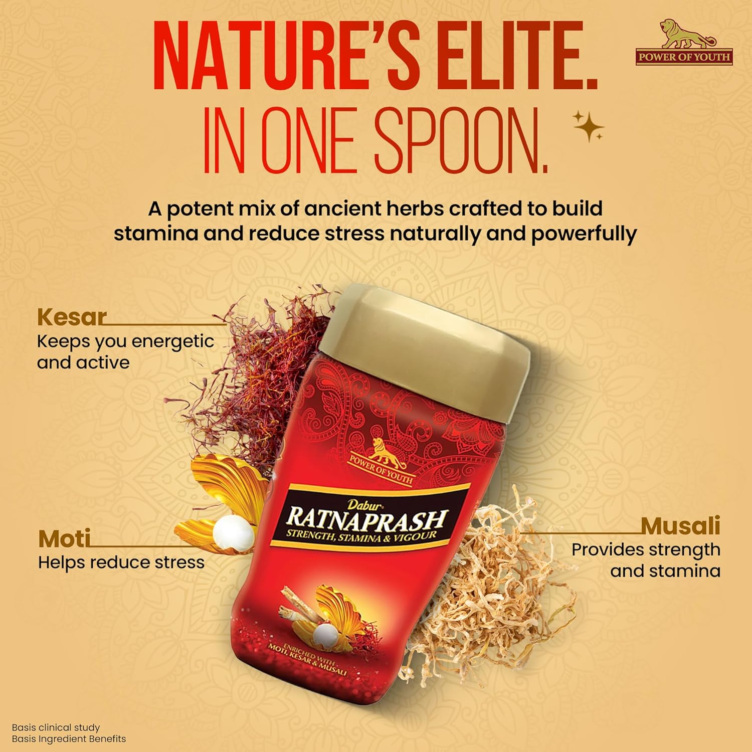 Dabur Ayurvedic Ratnaprash (450g)