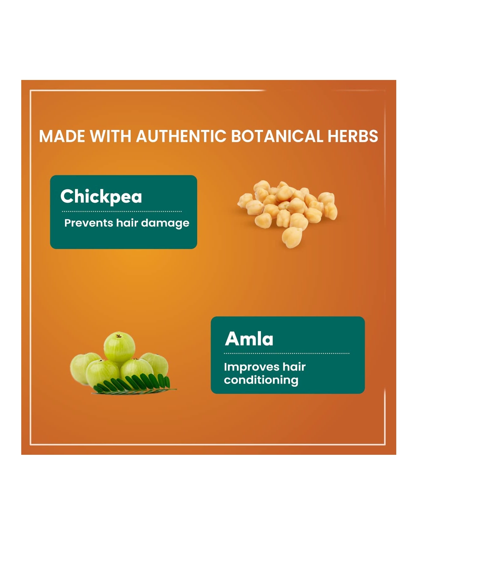 Himalaya Protein Hair Cream Extra Nourishment (200ml) – With Chickpea & Amla for Hair Fall Control & Damage Repair