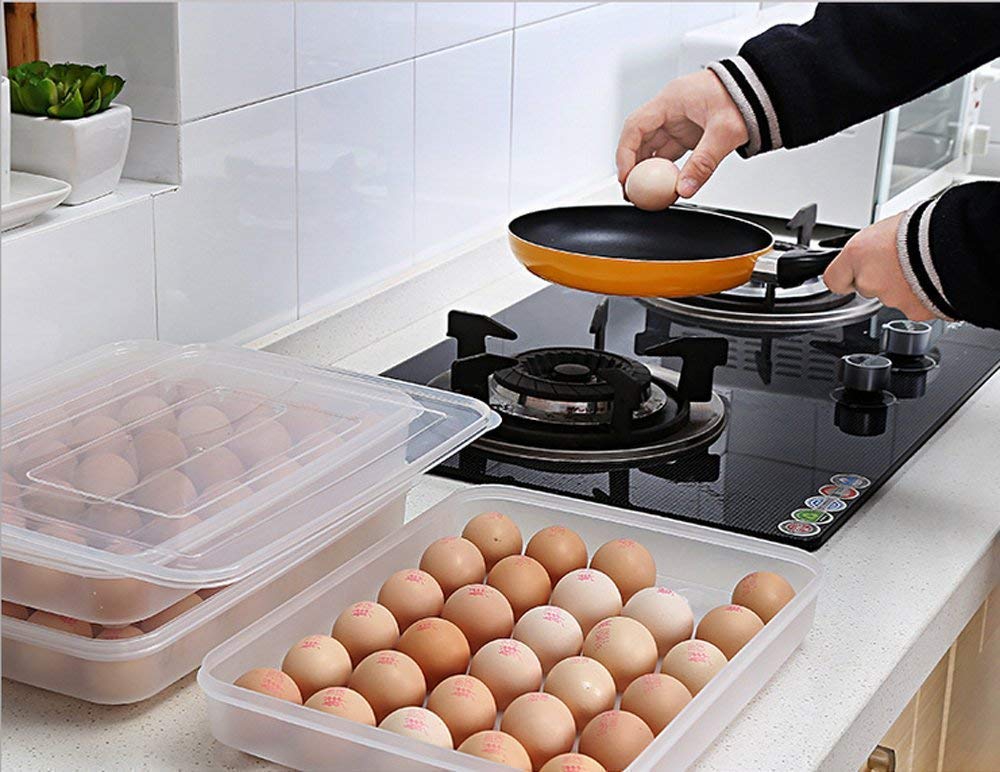 param Clear Large Capacity Portable Home Picnic Plastic Egg Box Case 24 Holder Storage Container Fridge, Egg Box for 24 Eggs, Set of 1 Pieces