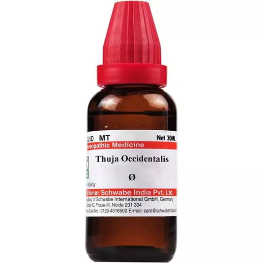 Dr Willmar Schwabe India Thuja Occidentalis Mother Tincture 1X (Q) (30ml) for swelling indigestion depression eczema