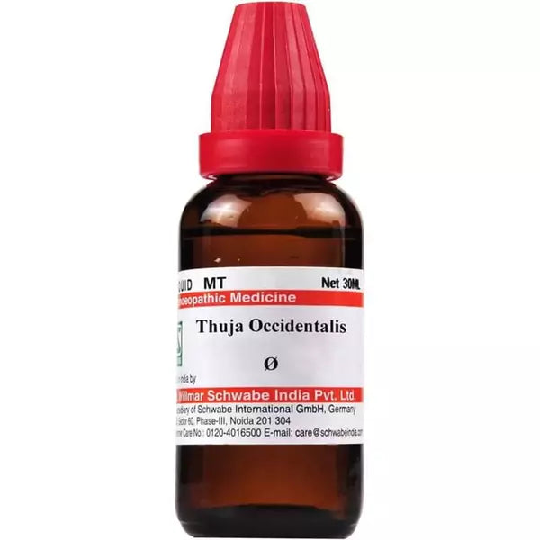 Dr Willmar Schwabe India Thuja Occidentalis Mother Tincture 1X (Q) (30ml) for swelling indigestion depression eczema