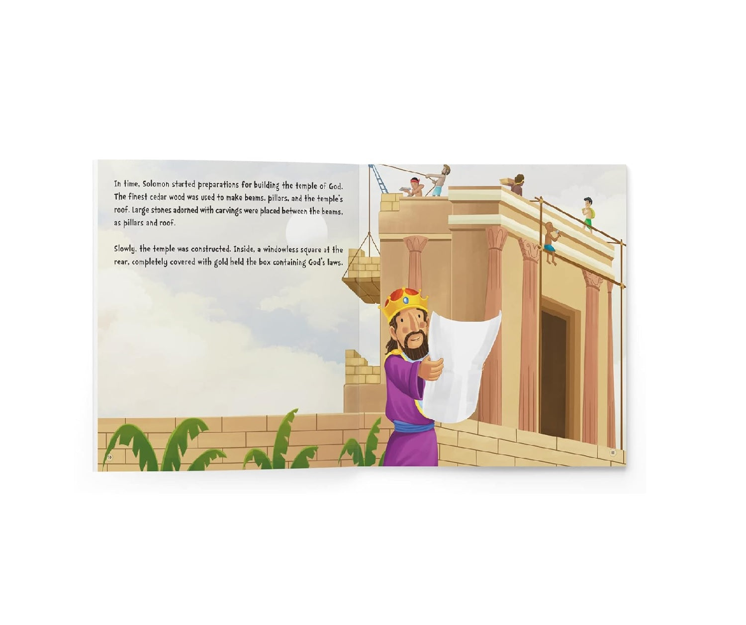 My First Illustrated Bible Story: King Solomon Paperback  Book