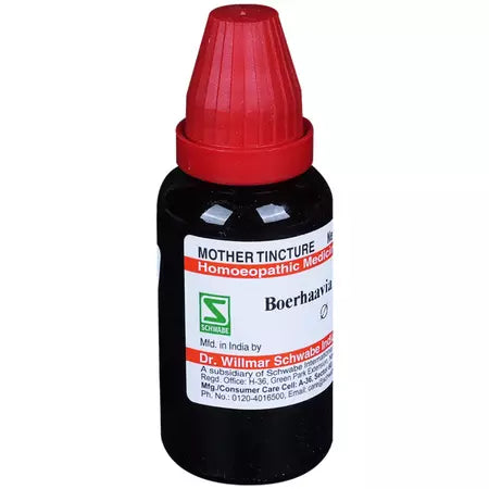 Dr Willmar Schwabe India Boerhavia Diffusa Mother Tincture (Q) (30ml) for swelling asthma itching