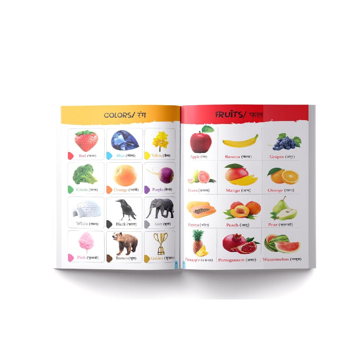 My First All in One : Bilingual Picture Book For Kids Hindi-English Paperback – Picture Book