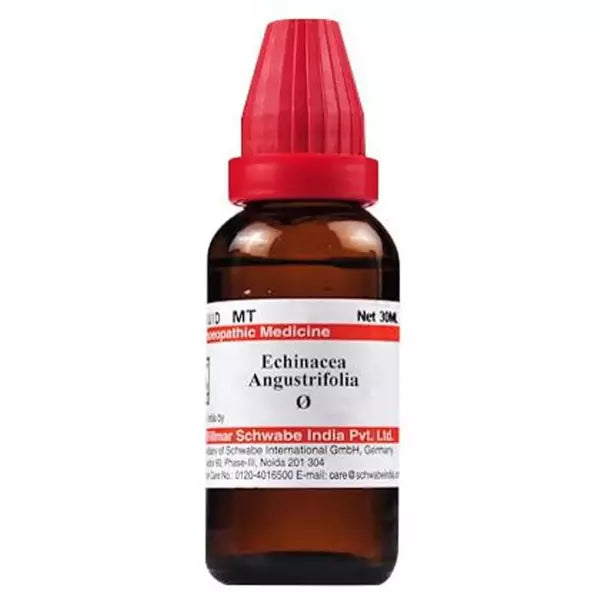 Dr Willmar Schwabe India Echinacea Angustifolia Mother Tincture (Q) (30ml) for bleeding gums nausea fever