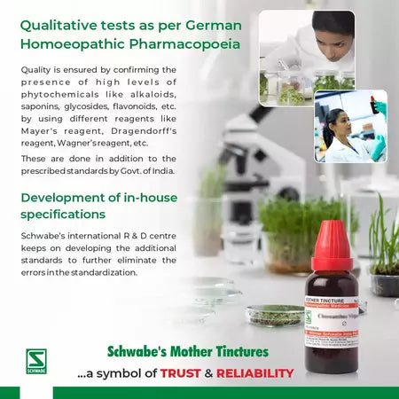 Dr Willmar Schwabe India Urtica Dioica Mother Tincture 1X (Q) (30ml) for gout asthma dandruff