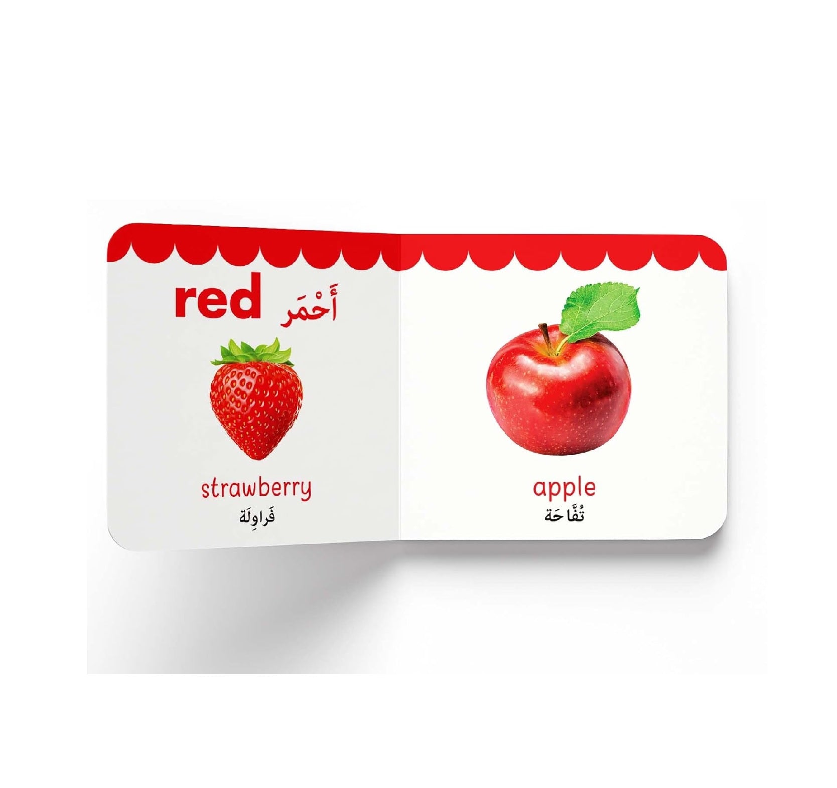My First English-Arabic Learning Library: Bilingual Boxset of 10 Picture Board Books for Kids - Covers Basic Concepts and Everyday Topics Board book