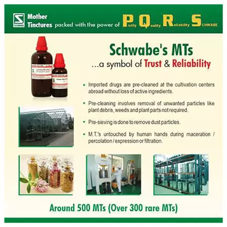 Dr Willmar Schwabe India Arnica Montana Mother Tincture (Q) (30ml) for cough anxiety urinary disorders