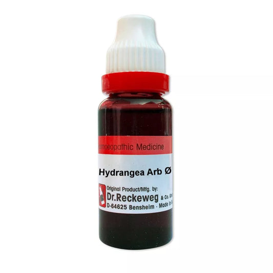 Dr. Reckeweg Hydrangea Arborescens 1X (Q) Mother Tincture (20ml) for urinary disorders relieves pain composition