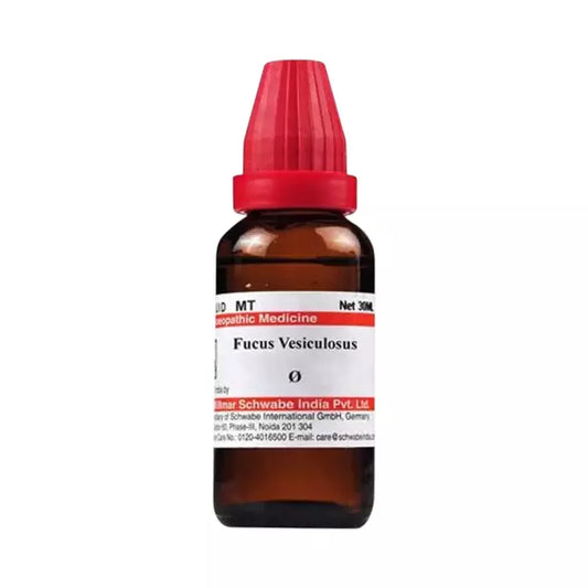 Dr Willmar Schwabe India Fucus Vesiculosus Mother Tincture 1X (Q) (30ml) for headache constipation digestion