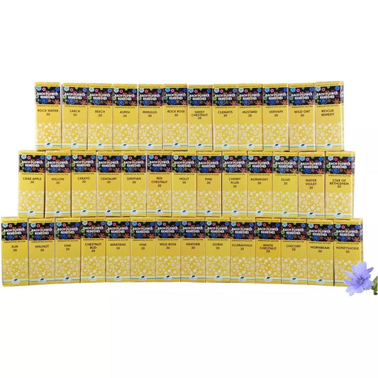 HOMOEOCART New Life Bach Flower Remedies Rescue Remedy Kit(Pack Of 40 Pcs X30Ml)