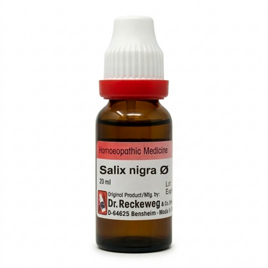 Dr. Reckeweg Salix nigra Q Mother Tincture