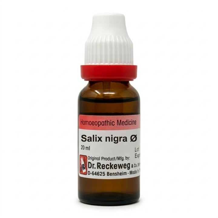 Dr. Reckeweg Salix nigra Q Mother Tincture