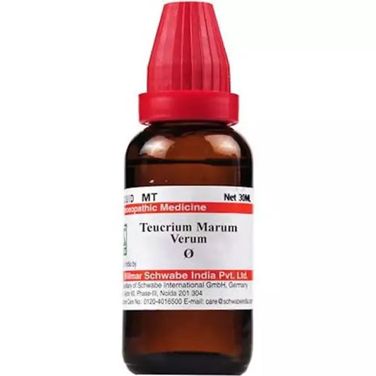 Dr Willmar Schwabe India Homoeopathic Teucrium Marum verum 1X (Q) 30ml for sneezing