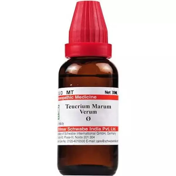 Dr Willmar Schwabe India Homoeopathic Teucrium Marum verum 1X (Q) 30ml for sneezing