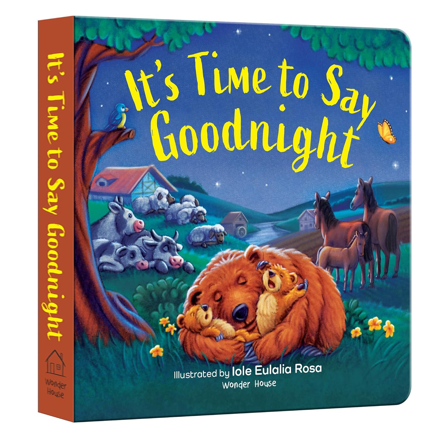 It’s Time to Say Goodnight Board book – Picture Book