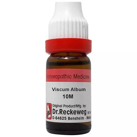 Dr Reckeweg Viscum Album Dilution 11ml for asthma anxiety vertigo blood pressure