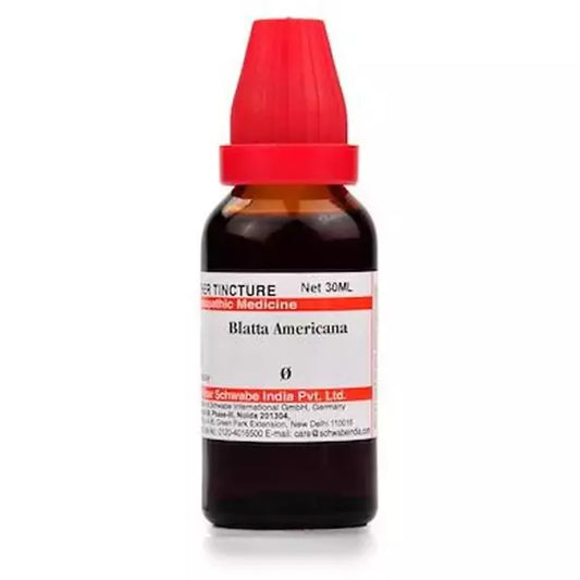 Dr Willmar Schwabe India Blatta Americana Mother Tincture (Q) (30ml) for swelling liver diseases