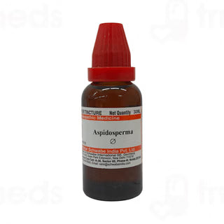 Dr Willmar Schwabe India Aspidosperma Mother Tincture (Q) (30ml) for asthma Flu Fever swelling