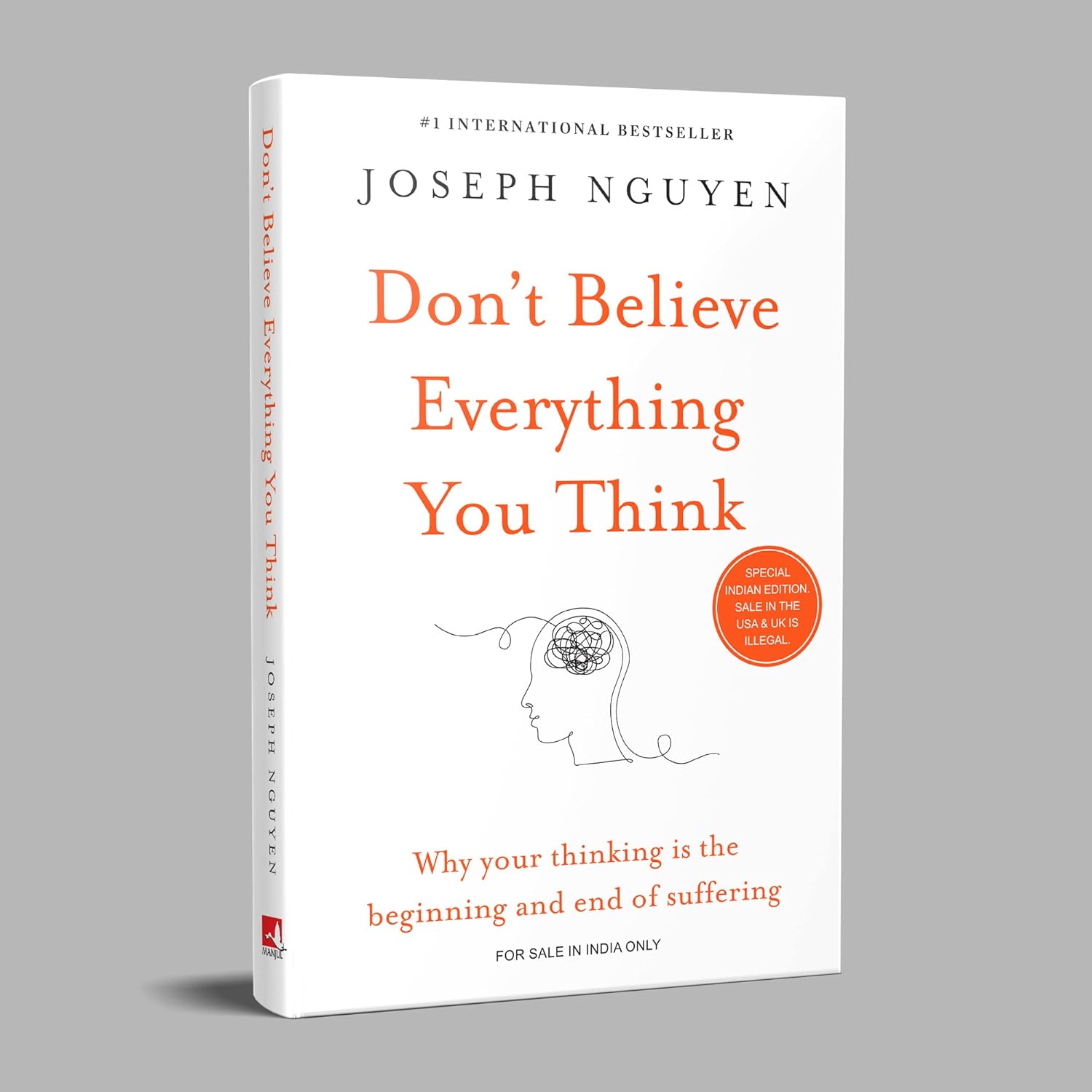 Don't Believe Everything You Think (Paperback)