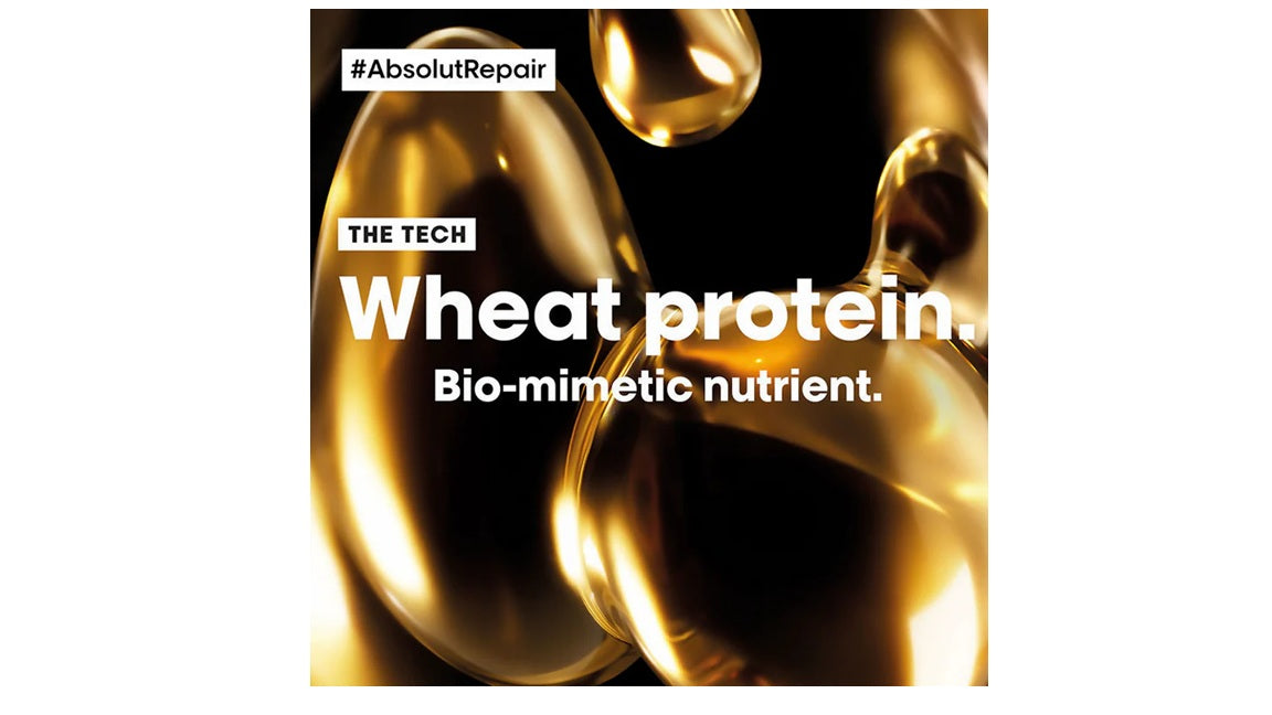 LOreal Professionnel Absolut Repair Shampoo& Hair Mask Combo, Serie Expert - combo - 300ml + 250ml