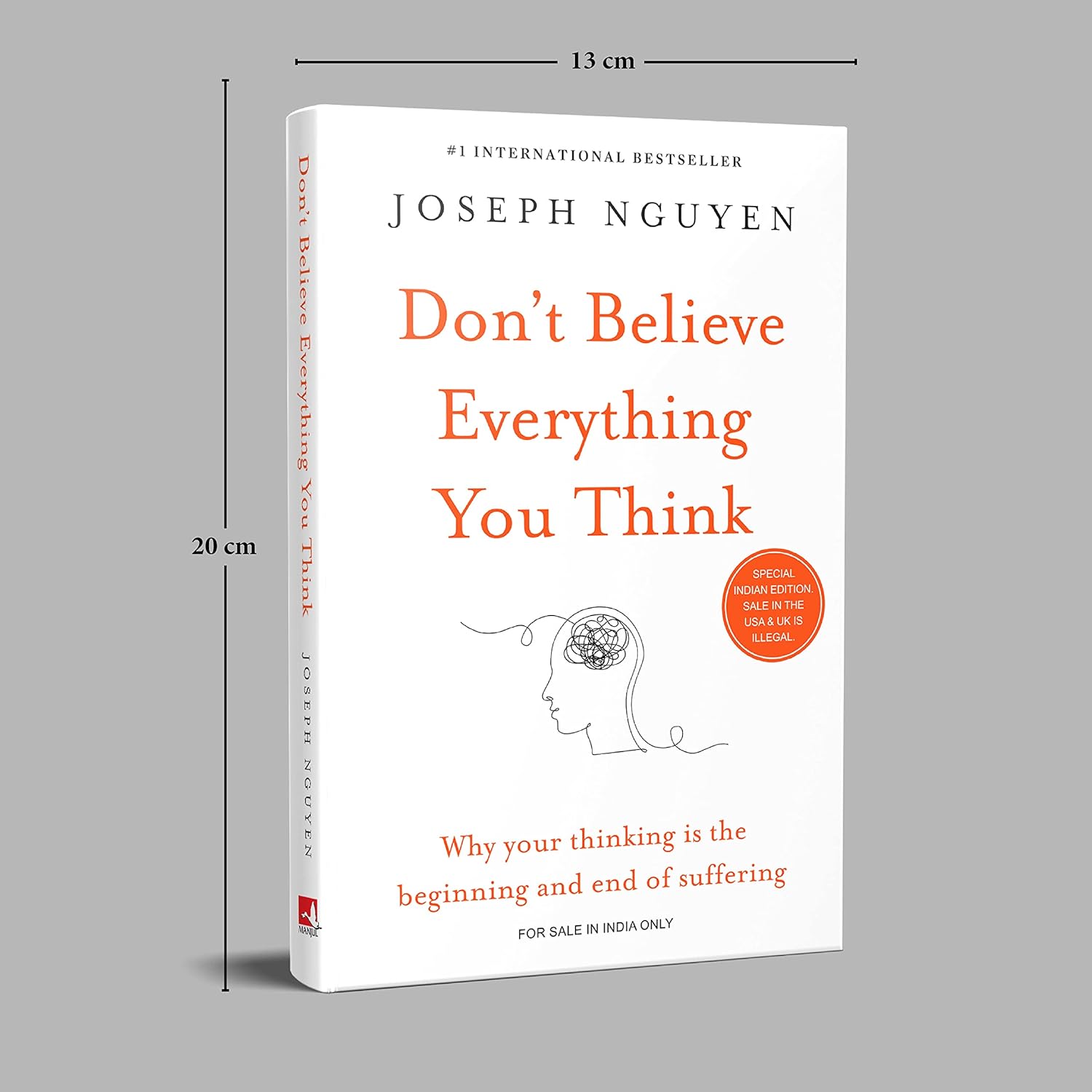 Don't Believe Everything You Think (Paperback)