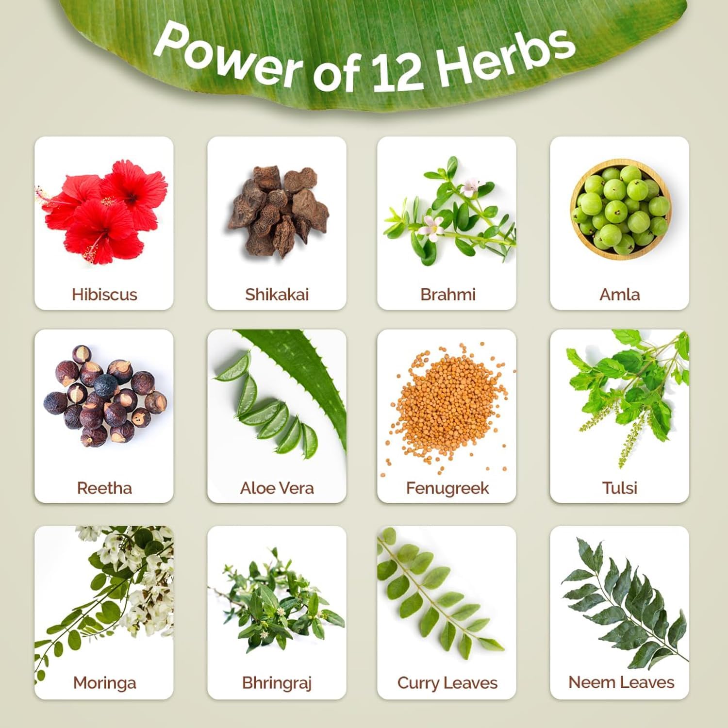 Mamaearth Kerala Thaali Shampoo - 250 ml