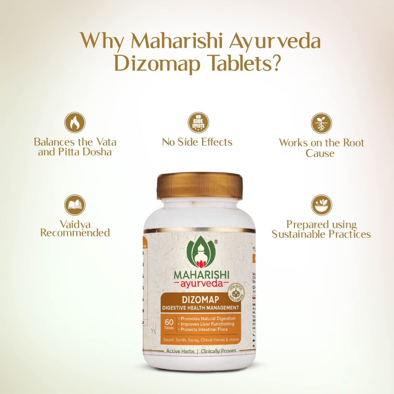 Maharishi Ayurveda Dizomap (60 Tablets) For Indigestion and Constipation | Liver Functioning and Intestinal Flora