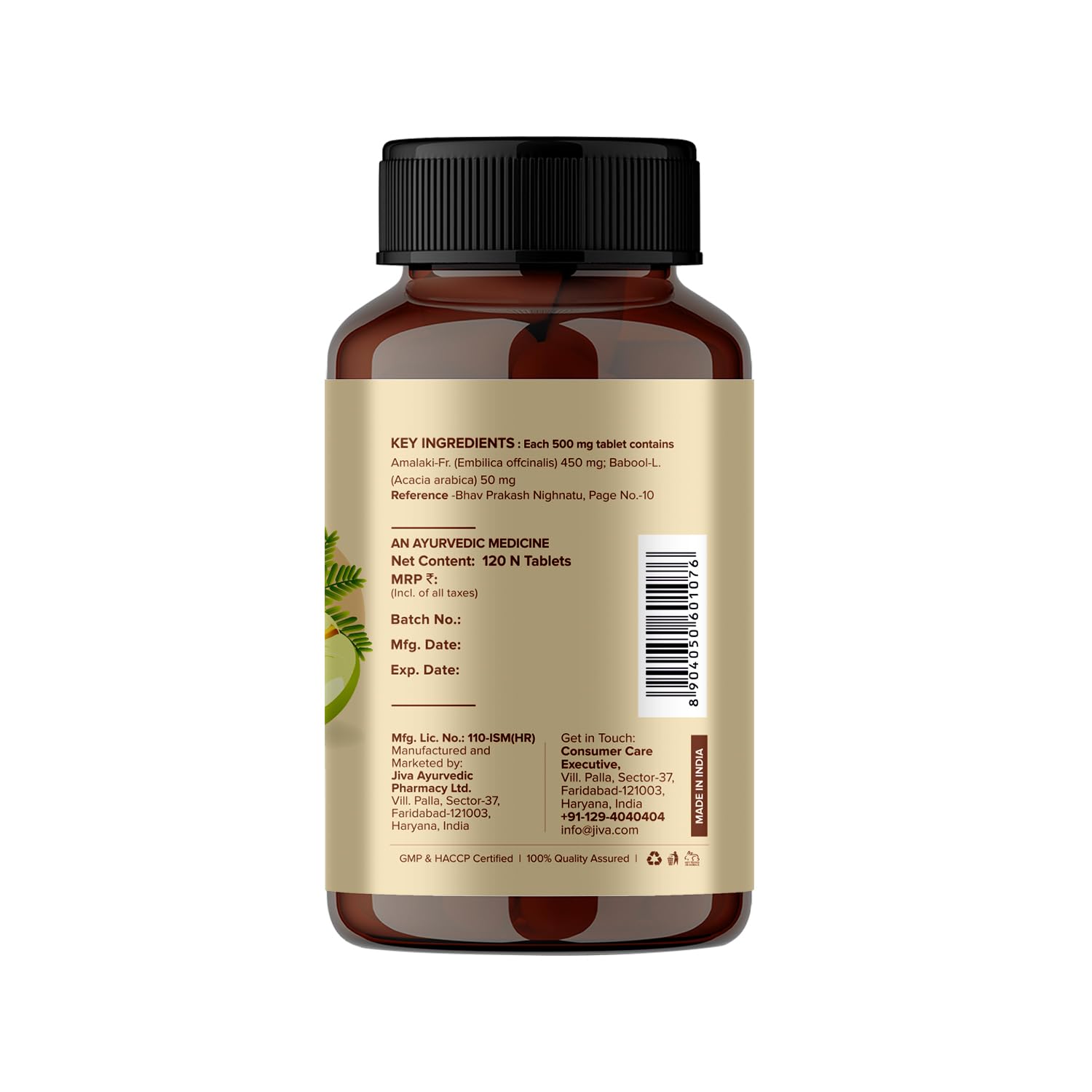 Jiva Amla Tablets 100% Pure Herbs Used, Rich In Vitamin C | Protects Against Free Radicals | Rich In Antioxidants - 120 Tablet (Pack of 1)