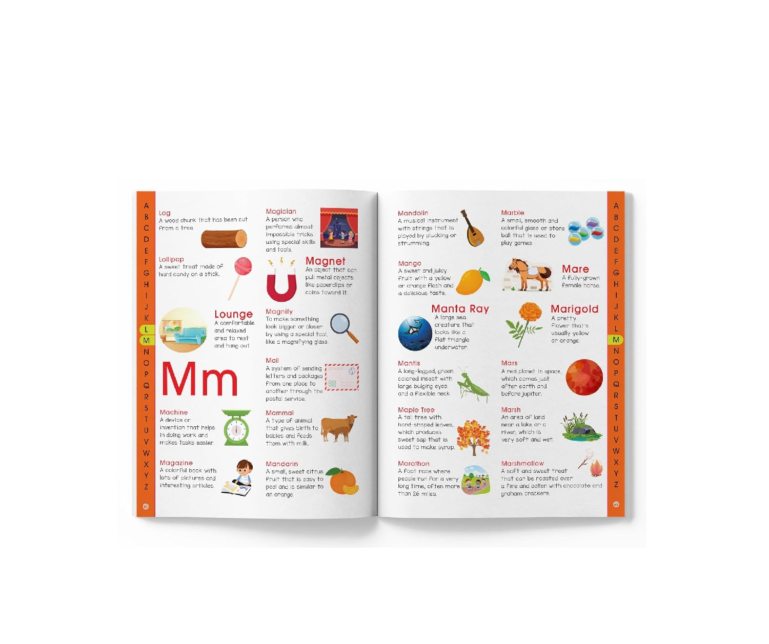 1200 Words Picture Dictionary Paperback Book