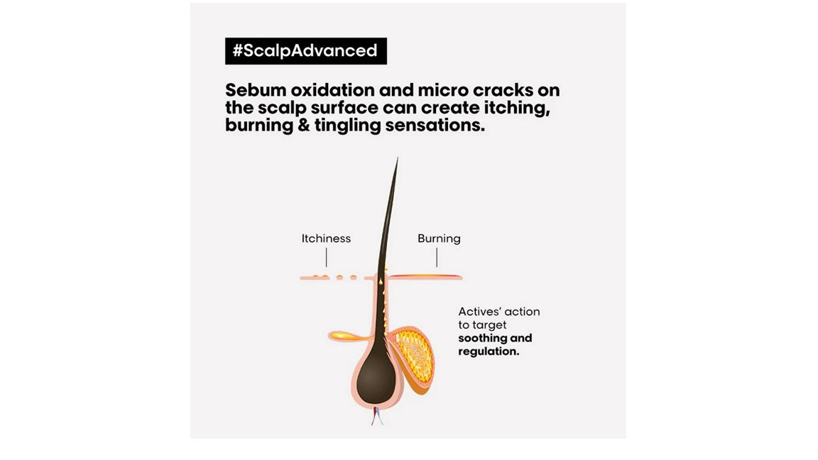 LOreal Professionnel Scalp Advanced Anti-Dandruff Dermo-Clarifier Shampoo + Metal Dx Hair Mask - combo 300ml + 250ml